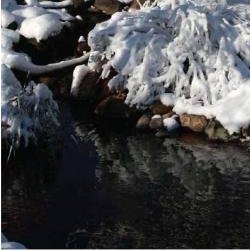 preparing-your-pond-for-winter-thumbnail-image
