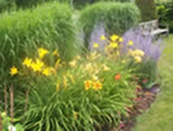 garden-design-focal-points-thumbnail-image